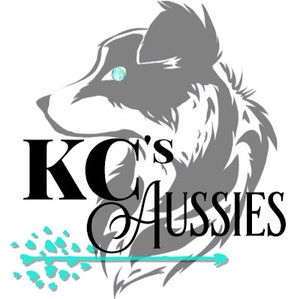 Meet your Posher, Kc